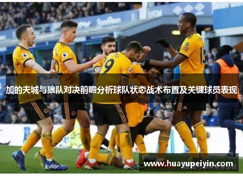 加的夫城与狼队对决前瞻分析球队状态战术布置及关键球员表现