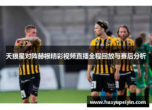 天狼星对阵赫根精彩视频直播全程回放与赛后分析