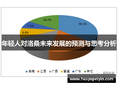 年轻人对洛桑未来发展的预测与思考分析