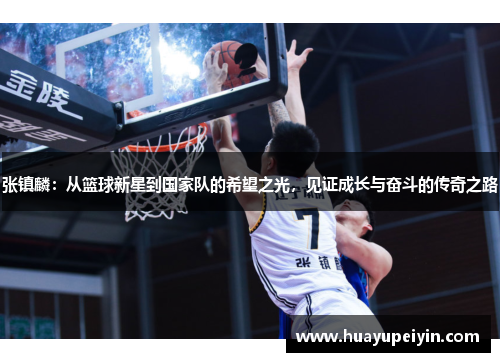 张镇麟：从篮球新星到国家队的希望之光，见证成长与奋斗的传奇之路